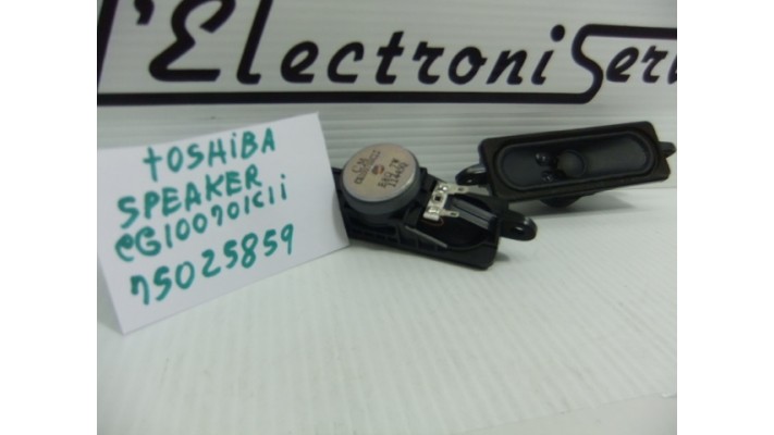Toshiba  75025859 speaker  .
